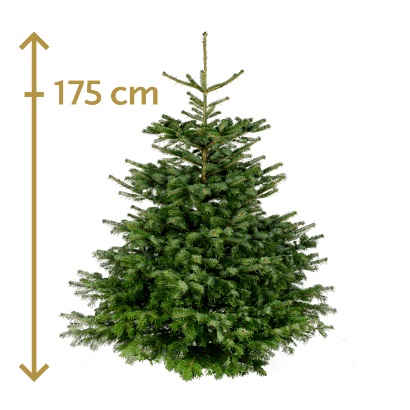 Weihnachtsbaum, 175 cm