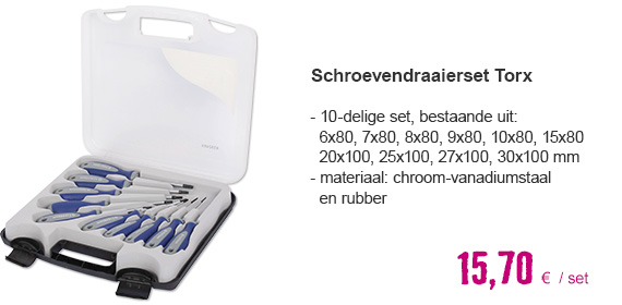Schroevendraaierset Torx 10-delig | HORNBACH