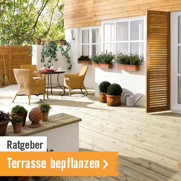 Ratgeber Terrasse bepflanzen