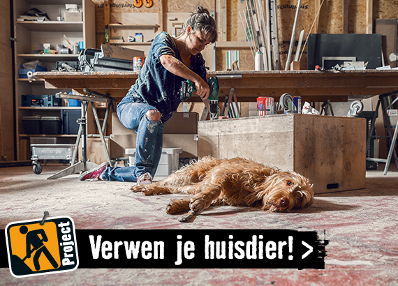 Dieren, aquaria & terraria | HORNBACH