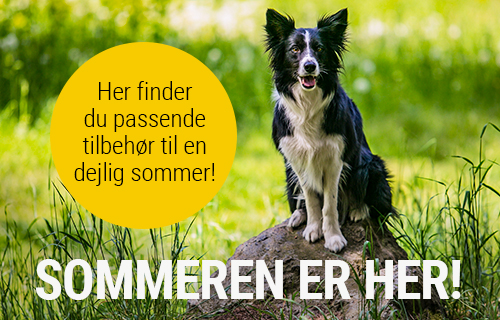 Sommertilbehør til hunde