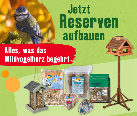 Jetzt Reserven aufbauen