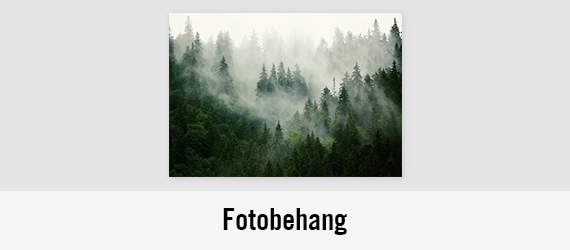 Fotobehang | HORNBACH