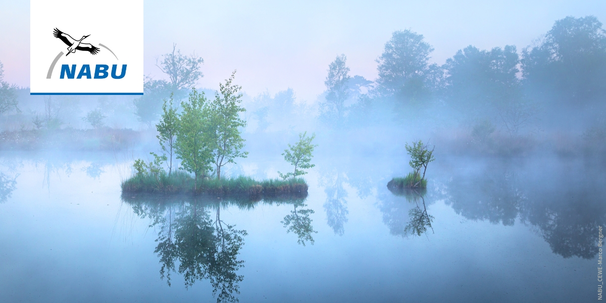 Moor – Foto: NABU/CEWE/Marco Bergner 