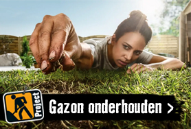 Gazon onderhouden | HORNBACH