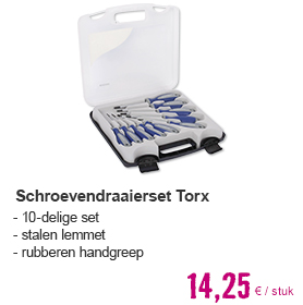 Schroevendraaierset Torx 10-delig | HORNBACH