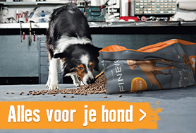 Alles voor je hond | HORNBACH