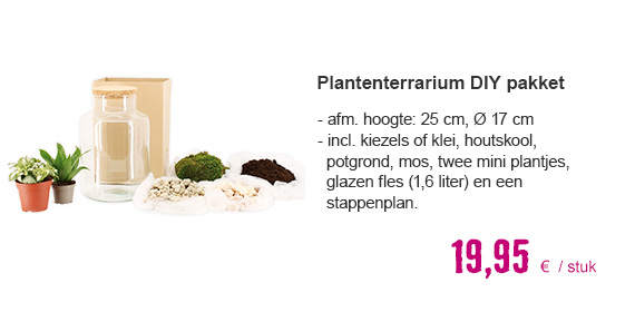 Plantenterrarium | HORNBACH