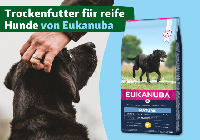 Trockenfutter von Eukanuba