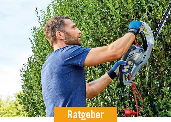 HORNBACH Ratgeber Hecken schneiden