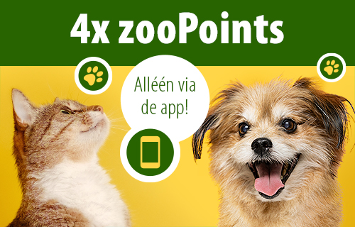 4x zooPoints via de app!