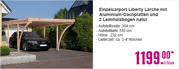 Einzelcarport Liberty Lärche mit Aluminium-Dachplatten und 2 Leimholzbögen 304x510 cm natur