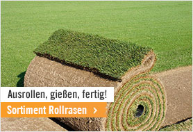 Sortiment Rollrasen