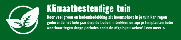 Klimaatbestendige tuin | HORNBACH