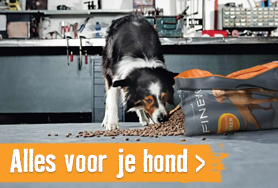 Honden | HORNBACH