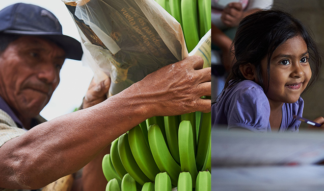Kleinbauer aus Brot für die Welt-Projekt in Peru erntet Bio-Bananen