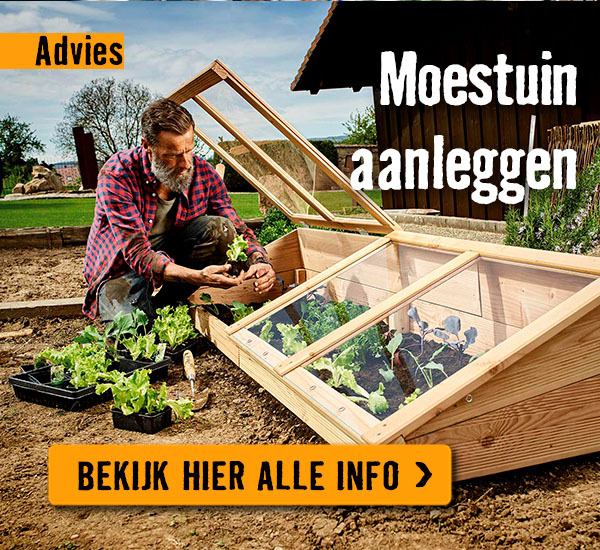 Moestuin aanleggen | HORNBACH