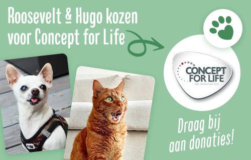 Hugo en Roosevelt kozen voor Concept for Life!