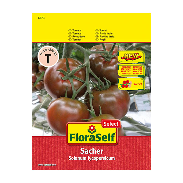 Gemüsesamen FloraSelf Select Tomate 'Sacher'