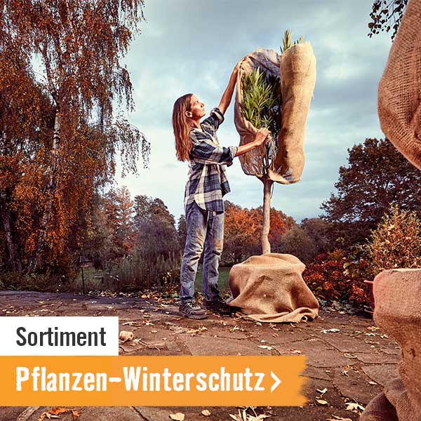 Pflanzen-Winterschutz im HORNBACH Onlineshop