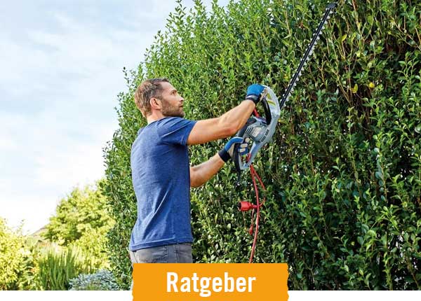 HORNBACH Ratgeber Hecke schneiden