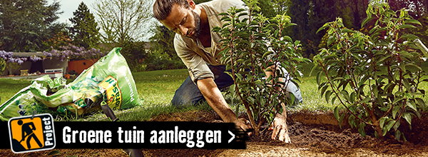 Groene tuin aanleggen | HORNBACH