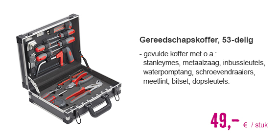 Gereedschapskoffer gevuld, 53-delig | HORNBACH