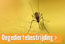 Ongediertebestrijding | HORNBACH