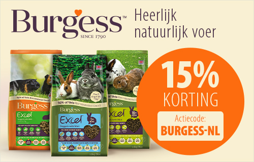 15% korting op Burgess!