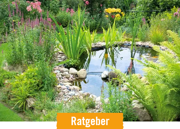 HORNBACH Ratgeber Gartenteich anlegen und pflegen