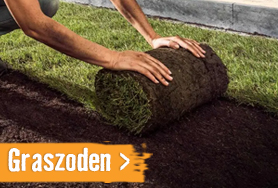 Graszoden | HORNBACH