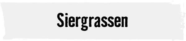 Siergrassen & bamboe | HORNBACH