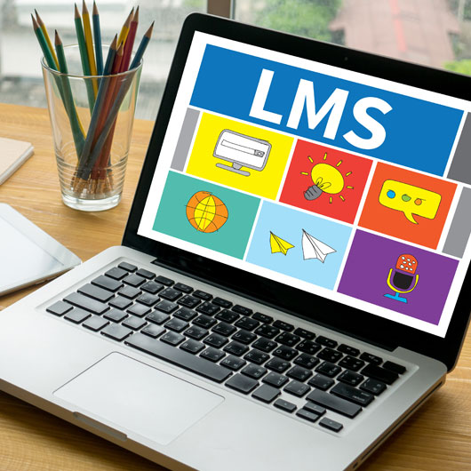 LMS: Shutterstock/one photo