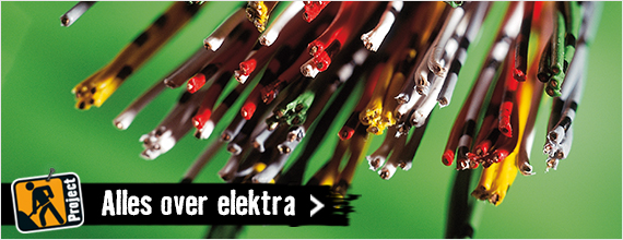 Alles over Elektra . HORNBACH