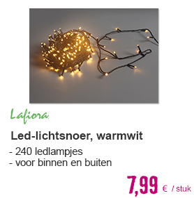 LAFIORA Lichtsnoer LED 240-lichts warmwit