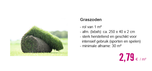 Graszoden Premium siergras grasmat | HORNBACH