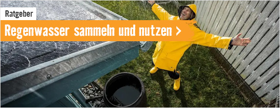 Regenwasser sammeln und nutzen