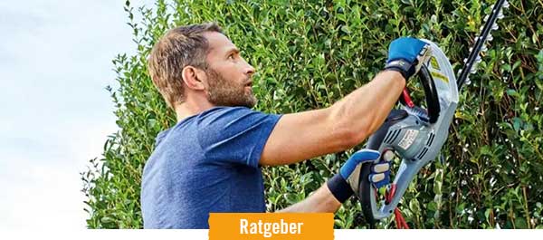 HORNBACH Ratgeber Hecken schneiden