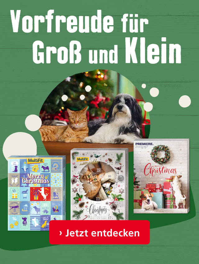 Jetzt Adventskalender für Ihren Liebling sichern