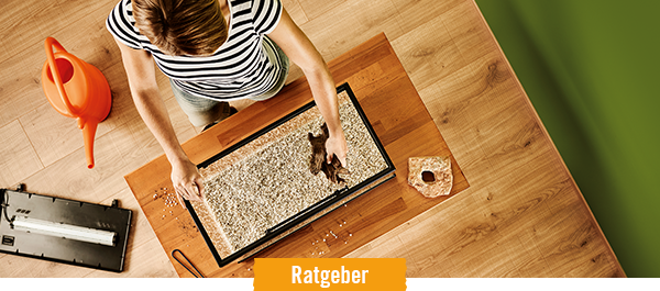 Ratgeber Aquarium einrichten