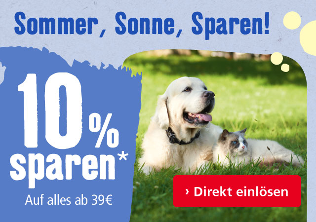 10% Rabatt auf alles!