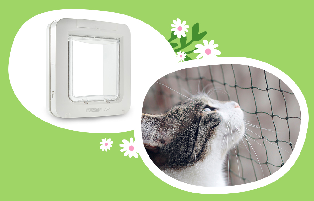 Je krijgt nu 5 % korting op luiken en netten voor je kat! 