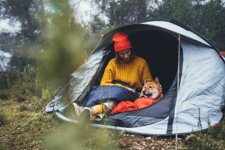 Zorg dat je hond comfortabel reist en verblijft!