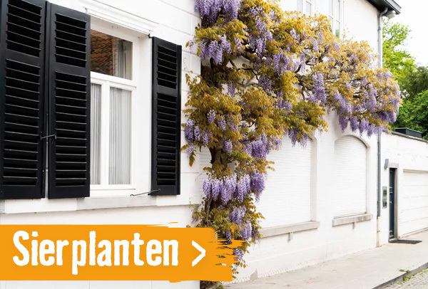 Sierplanten | HORNBACH