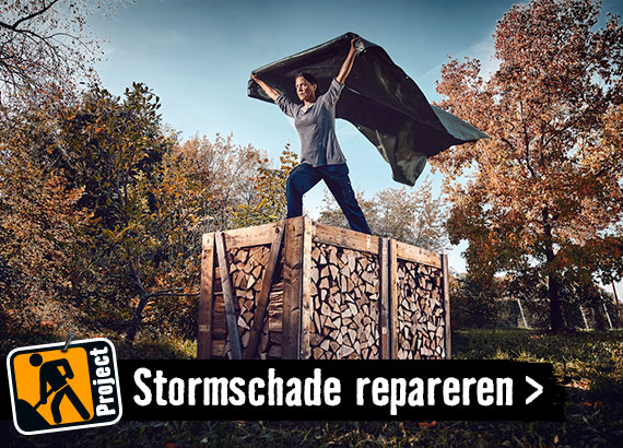 Eerste hulp bij stormschade | HORNBACH