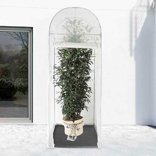 Frostschutzhaus Videx Palm Protect 100x100x250 cm