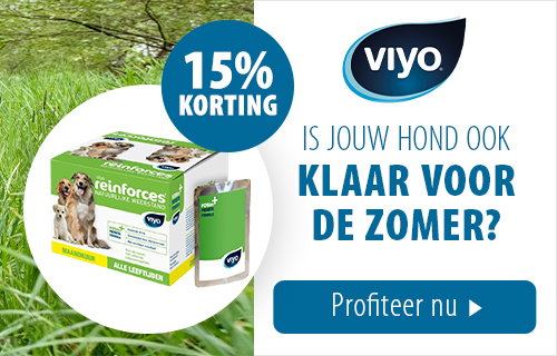 15% korting op Viyo!