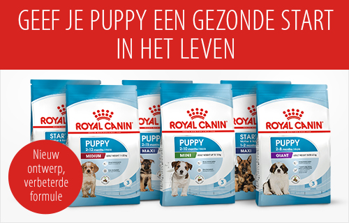 Geef je puppy een gezonde start in het leven!