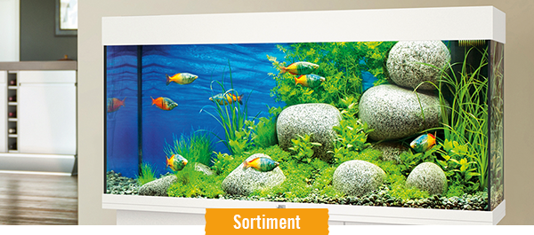 Aquarien im HORNBACH Onlineshop