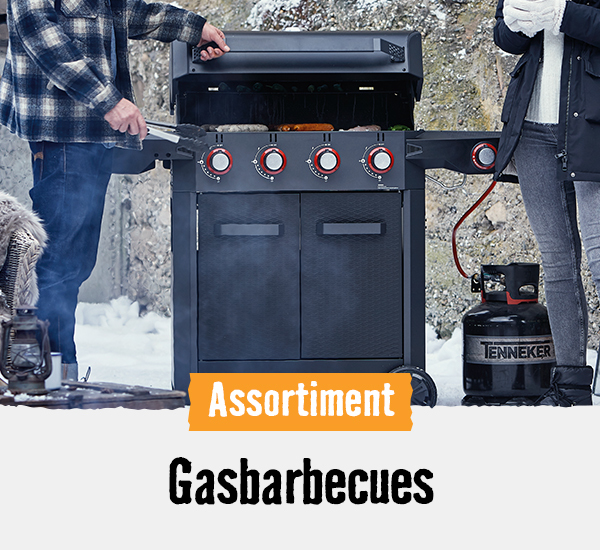 Gas BBQ | HORNBACH